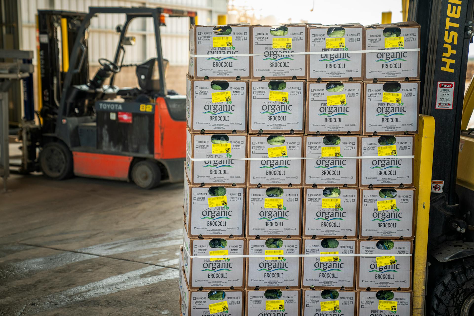 Worker scanning products in warehouse